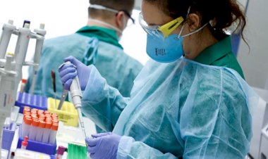 Almanya'da vaka sayısı 160 bine yaklaştı