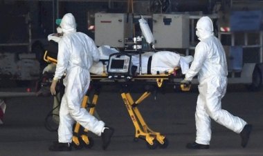 İngiltere'de COVID-19 ölümleri 35 bini aştı