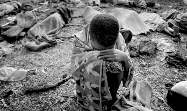 Fransa'da Ruanda Soykırımı'na ilişkin arşivin erişimine izin verildi