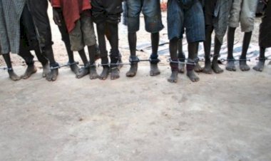 Avrupa'nın kanlı sömürgeci tarihi peşini bırakmıyor