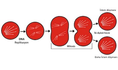 CHP'nin genetiğinde İslam düşmanlığı var!