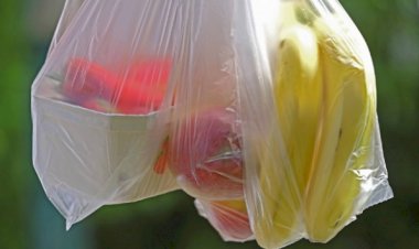 Almanya'da plastik poşet kullanımı yasaklanacak