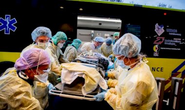 Hollanda'da vaka sayıları yükselişe geçti