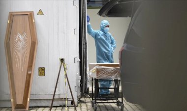 Avrupa'da salgında ölenlerin sayısı 623 bini geçti