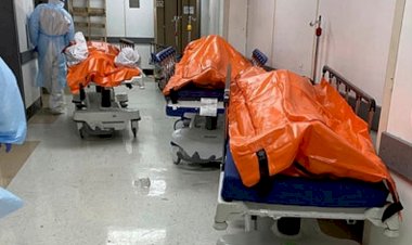 İngiltere'de Kovid-19 nedeniyle son 24 saatte 1280 kişi öldü