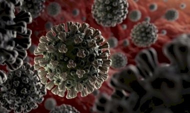 İngiltere'de endişe verici bir koronavirüs mutasyonu daha bulundu