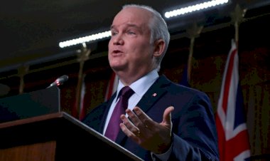 Ana muhalefet lideri O'Toole: Kanada Uygur soykırımına göz yummamalı