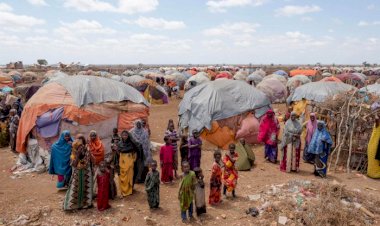 BM: Somali'de 2020'de yaklaşık 1,3 milyon kişi yerinden oldu