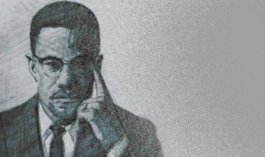 Malcolm X'in çocukluğunun geçtiği ev ABD'nin tarihi yapılar listesinde