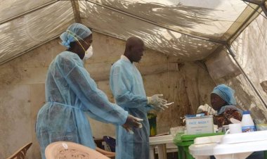 İklim değişikliğinin, Afrika'da sıtma hastalığının yayılımını azalttığı belirtildi