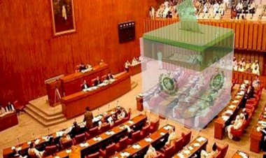 Pakistan’daki senato seçiminde 'gizli kamera' tartışması