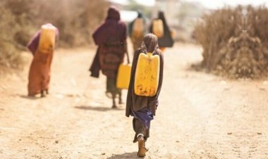 BM: Somali'de su kıtlığı nedeniyle 83 bin kişi göç etmek zorunda kaldı