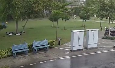 Hindistan'da ağaca yıldırım düştü: 1 ölü, 3 yaralı