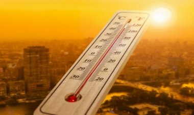 Temmuzda dünya çapında 142 yılın sıcaklık rekoru kırıldı