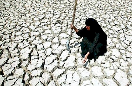 Çölleşme, dünyada 1,5 milyar insanın hayatını doğrudan etkiliyor