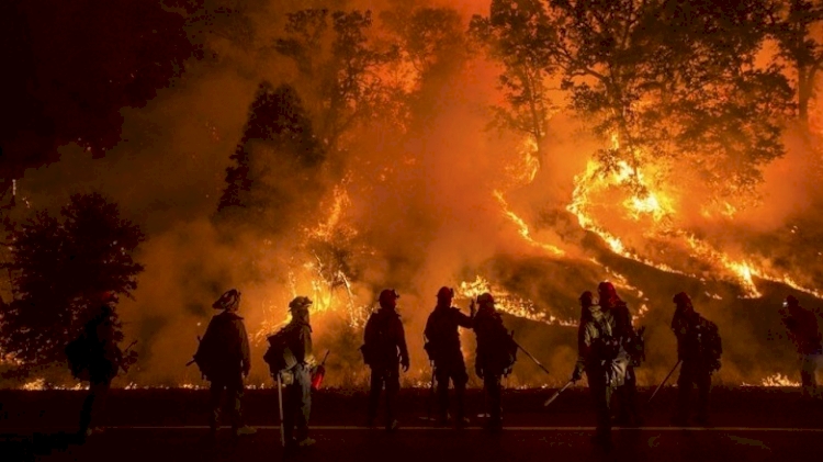 California'daki orman yangınlarında bu yıl rekor düzeyde alan yandı