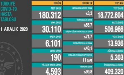 Türkiye'de son 24 saatte 30 bin 110 yeni vaka