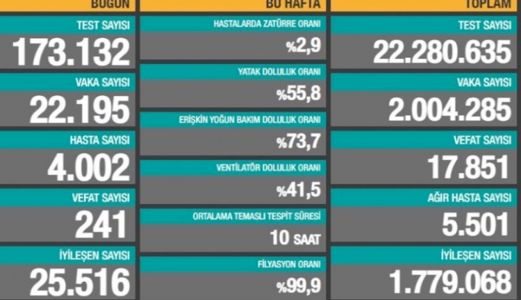 Türkiye'de 241 can kaybı, 22 bin 195 yeni vaka