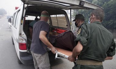 Cezayir'deki orman yangınlarında hayatını kaybedenlerin sayısı 65'e yükseldi