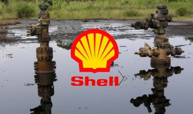 Shell, Nijerya'daki Ogoni halkına 110 milyon dolar tazminat ödeyecek