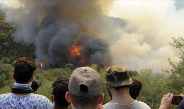 Cezayir'deki orman yangınlarıyla ilgili 22 kişi gözaltına alındı