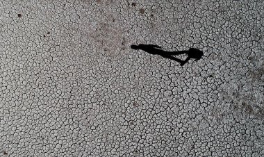 Karbon salımı azaltılmazsa yeni iklim krizleri kapıda