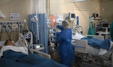 Brezilya'da Kovid-19'dan 300 gazeteci öldü