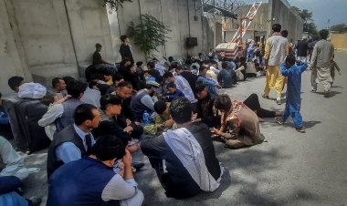 Fransız gazeteci Andlauer, Fransa'nın eski Afgan çalışanlarıyla tahliye için irtibata bile geçmediğini belirtti