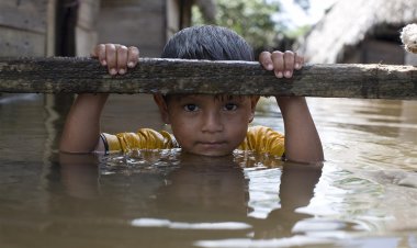 UNICEF: Bir milyar çocuk iklim krizi nedeniyle 'yüksek risk' altında