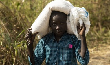 İnsani yardım kuruluşları uyardı: Tigray'da gıda malzemeleri bu hafta bitecek