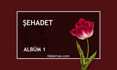 ŞEHADET 1