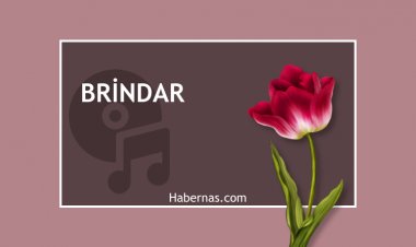 BRİNDAR
