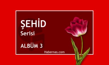 ŞEHİD 3