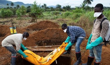 Nijerya'da son bir haftada 63 kişi koleradan hayatını kaybetti