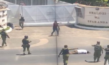 Tanzanya'da Fransız Büyükelçiliği önünde silahlı saldırı: 4 ölü