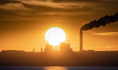 2020'de sera gazı salınımı 800 bin yıldır kaydedilen en yüksek seviyeye çıktı