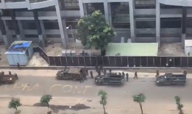 Gine'de cumhurbaşkanlığı sarayının yakınında silah sesleri