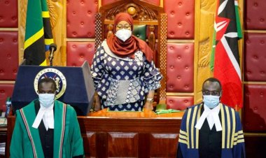 Tanzanya'da Savunma Bakanlığına ilk kez kadın atandı