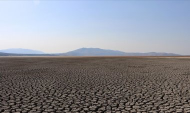 İklim Zirvesinde dünyanın büyük ekonomilerine yıllık 100 milyar dolar iklim fonu çağrısı