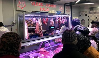 Belçika'da helal kesim yasağına karşı mücadele sürüyor