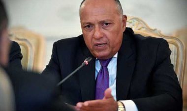 Mısır Dışişleri Bakanı Şukri: Türkiye ile ilişkiler gelişme kaydetti