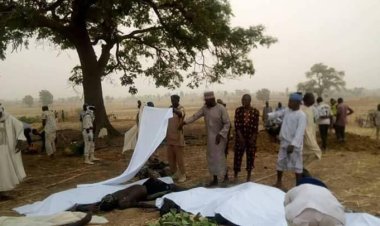 Ansaru hareketi ile silahlı çeteler arasında çatışma: 30 ölü