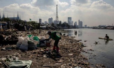 BM'den 'temiz ve sağlıklı çevre insan hakkıdır' kararı