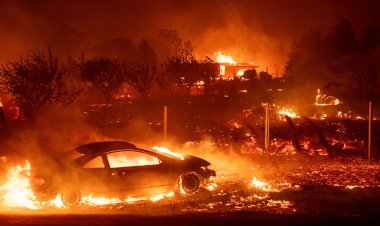 California'da yangın: Olağanüstü hal ilan edildi