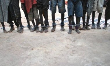 Belçika'da sömürge raporu: Kongo'da verilen hasarı ölçmek imkansız, ancak maddi tazminat yoluyla telafi edilmeli