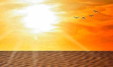 Dünya, yüzyılın sonunda 2,4 derece ısınacak