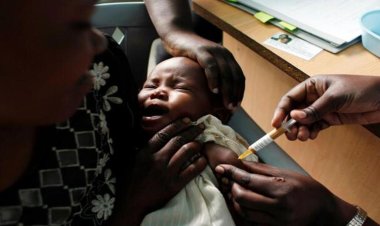 Gana'da sarıhumma salgını: 22 çocuk yaşamını yitirdi