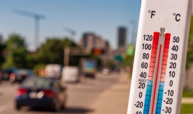 Rapor: 2021, 1880'den bu yana yaşanan en sıcak 10 yıldan biri olabilir