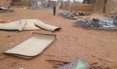 Nijer’in Mali sınırında düzenlenen iki saldırıda 25 sivil öldü