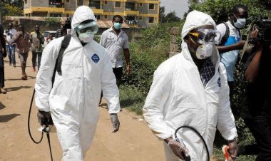 Nijerya'da vakalar son iki haftada yüzde 500 arttı